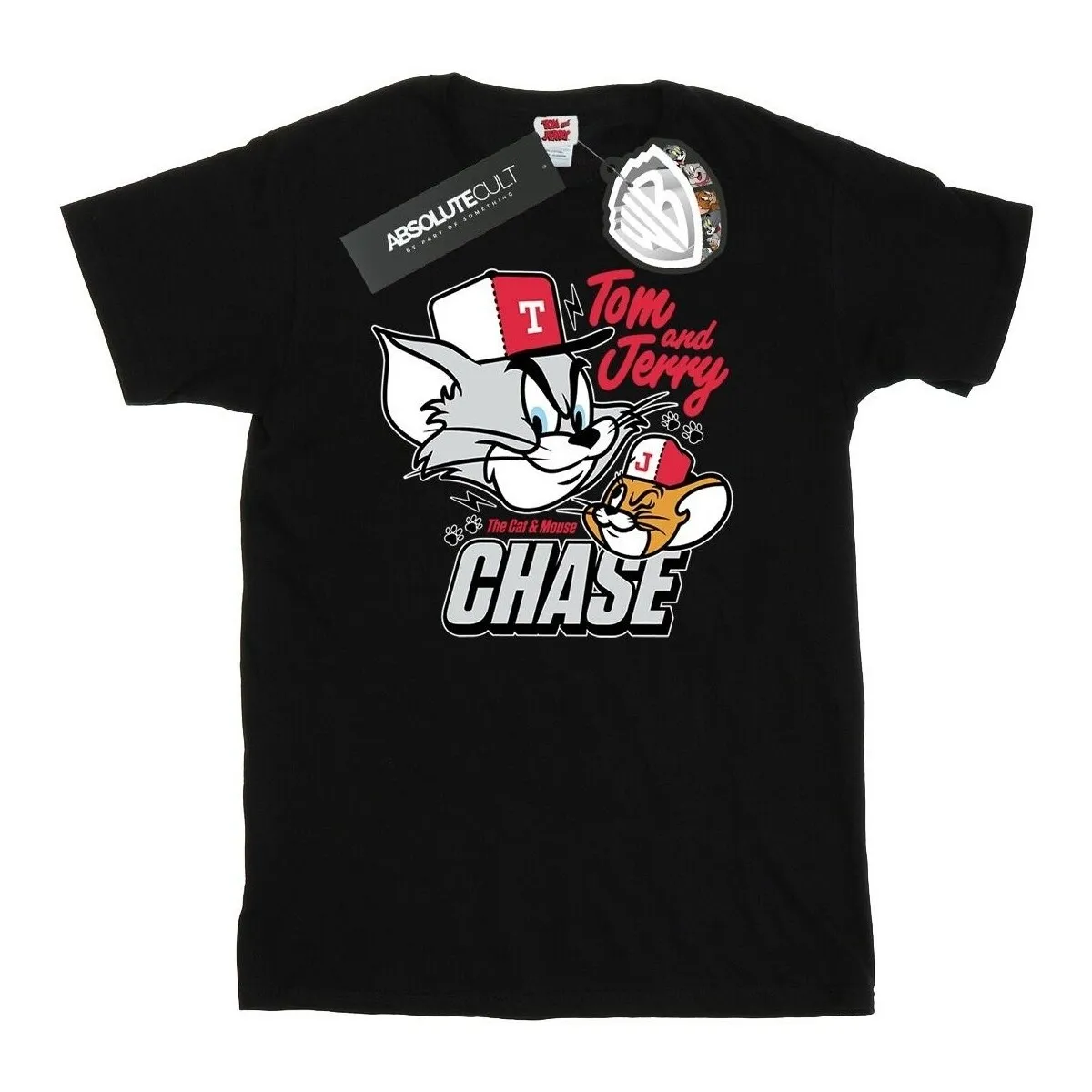 Cat & Mouse Chase